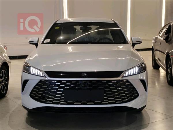 بي واي دي Qin Plus 2025 للبيع في العراق - اربيل